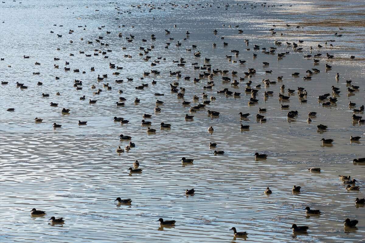 Konya merkezi sulayan kaynakta hareketlilik başladı 14